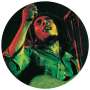 Bob Marley: The Soul Of A Rebel (Limited Edition) (Picture Disc), LP