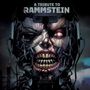 : A Tribute To Rammstein (Limited Edition) (Silver Vinyl), LP