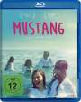 Deniz Gamze Ergüven: Mustang (Blu-ray), BR