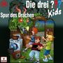 : Die drei ??? Kids 58: Spur des Drachen, CD