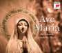 : Ave Maria, CD,CD,CD