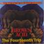 : Brown Acid: The Fourteenth Trip (Transparent Orange Vinyl), LP