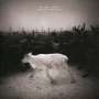 Mélissa Laveaux: Dying Is A Wild Night, LP