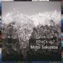 Motoi Sakuraba: What's Up, CD