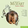 Wolfgang Amadeus Mozart (1756-1791): Kirchensonaten für Orgel, 2 Violinen & Cello, CD