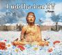 : Buddha Bar XV By Ravin, CD,CD