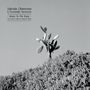 Sylvain Chauveau: Down To The Bone (An Acoustic Tribute To Depeche Mode), LP