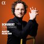 Franz Schubert: Sämtliche Klaviersonaten Vol.1, CD,CD