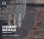 Franz Berwald: Septett B-Dur (1828), CD