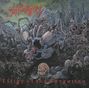 Suffocation: Effigy Of The Forgotten, LP