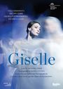 : Holländisches Nationalballett - Giselle (Adolphe Adam), DVD