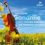"Jean-Charles Gandrille, Livre pour violoncelle, Felix Rosenboom violoncelle" – Cello vor gelbem Blumenfeld, PARATY Logo.