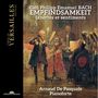 Carl Philipp Emanuel Bach (1714-1788): Klavierwerke - "Empfindsamkeit", CD
