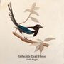 Inflatable Dead Horse: Hello Magpie, CD