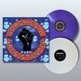 Schriftzug "BORGHESIA RESISTANCE" umgibt eine schwarze Faust. Lila und weiße Vinylplatten sind daneben platziert.