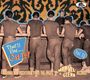 : That'll Flat Git It Vol.52, CD