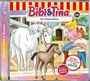 : Bibi und Tina 100: Das Waisenfohlen, CD