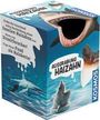 „Ausgrabung Haizahn“ steht auf der Verpackung, die ein Hai und einen fossilen Haizahn in blauem Wasser zeigt.