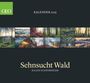 : GEO Kalender: Sehnsucht Wald 2025 - Wand-Kalender - Natur-Kalender - 60x55, KAL