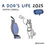 : A Dog's Life 2025 - Wand-Kalender - Broschüren-Kalender - 30x30 - 30x60 geöffnet - Hunde - Cartoon, KAL