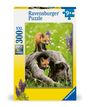 : Ravensburger Kinderpuzzle - 12000871 Freche Füchse - 300 Teile XXL Puzzle für Kinder ab 9 Jahren, Div.