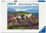 : Ravensburger Puzzle 12001751 - Wildpferde in der Heide - 2000 Teile Puzzle, für Pferde-Fans ab 14 Jahren, SPL