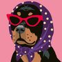 Illustration: Ein Hund mit einer roten Sonnenbrille und einem lila Kopftuch mit Punkten vor rosa Hintergrund.