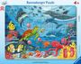 : Ravensburger Kinderpuzzle - Unten im Meer - 30-48 Teile Rahmenpuzzle für Kinder ab 4 Jahren, SPL