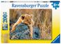 : Ravensburger Kinderpuzzle - Kleiner Löwe - 200 Teile Puzzle für Kinder ab 8 Jahren, SPL