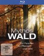 : Mythos Wald (Blu-ray), BR