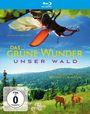 Jan Haft: Das grüne Wunder - Unser Wald (Blu-ray), BR