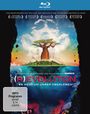 Rob Stewart: (R)evolution - Es geht um unser Überleben (Blu-ray), BR