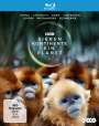 : Sieben Kontinente - Ein Planet (Blu-ray), BR,BR,BR