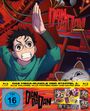 "Dandadan Staffel 1", "Das Mega-Bundle der Staffel 1: Alle Volumes, alle Fan-Beilagen und Extra Box", "FSK ab 16".  
Anime-Figur mit Brille, erhobener Arm, Maneki-neko-Katze, Achterbahn im Hintergrund.