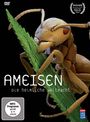 : Ameisen - Die heimliche Weltmacht, DVD