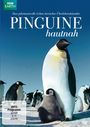 John Downer: Pinguine Hautnah, DVD