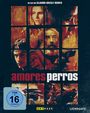Alejandro Gonzalez Inarritu: Amores Perros (Special Edition) (Blu-ray), BR