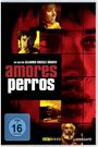 Alejandro Gonzalez Inarritu: Amores Perros, DVD