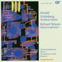 Arnold Schönberg: Verklärte Nacht op.4, CD