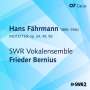 Hans Fährmann: Motetten, CD