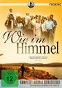 Kay Pollak: Wie im Himmel, DVD