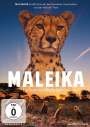 Matto Barfuss: Maleika, DVD