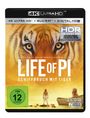 Ang Lee: Life of Pi (Ultra HD Blu-ray & Blu-ray), UHD,BR