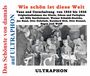Wie schön ist diese Welt: Tanz und Unterhaltung von 1933 bis 1936, CD