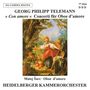 "Georg Philipp Telemann: Concerti für Oboe d’amore. Matej Šarc, Heidelberger Kammerorchester." Ein Gemälde mit Landschaft.