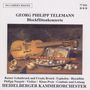 Georg Philipp Telemann: Doppelkonzerte mit Blockflöte, CD