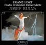 Franz Liszt (1811-1886): Etudes d'execution transcendante, LP
