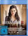 Hannu Salonen: Die Hebamme 2 (Blu-ray), BR