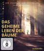 Jörg Adolph: Das geheime Leben der Bäume (Blu-ray), BR