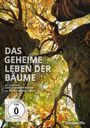 Jörg Adolph: Das geheime Leben der Bäume (Blu-ray & DVD im Mediabook), BR,DVD